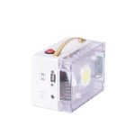 سیستم روشنایی خورشیدی چراغدار آرتا مدل لیتیومی کد SCPK-COB30 ظرفیت 130 وات ساعت - تصویر 2